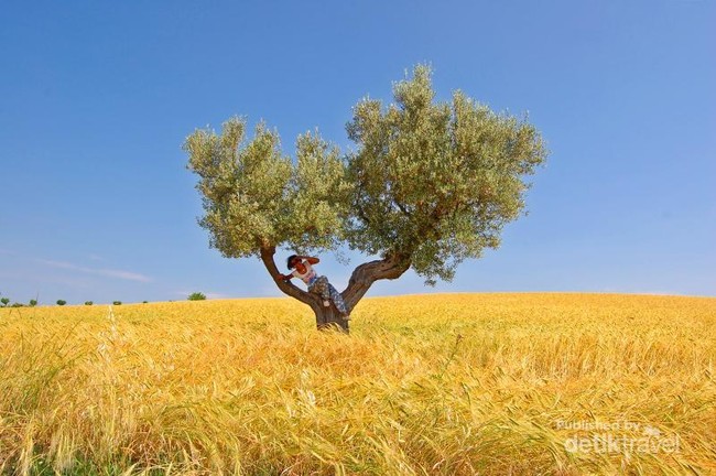 San Severino, Kota di Italia dengan Pemandangan bak Negeri Dongeng