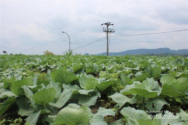 Santai Sejenak di Pemandian Air Panas Guci, Tegal