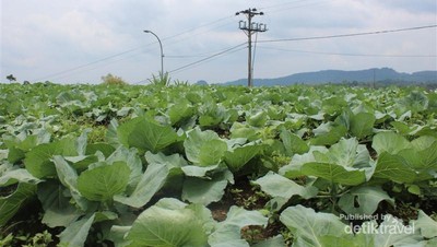 Santai Sejenak di Pemandian Air Panas Guci, Tegal