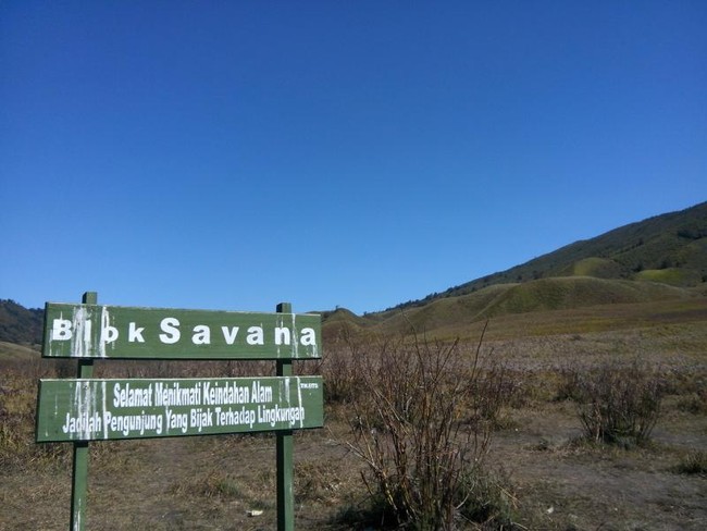 Savana di Afrika? Bukan, Ini di Bromo