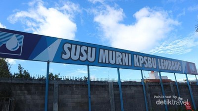 Segarnya Nyusu di Lembang