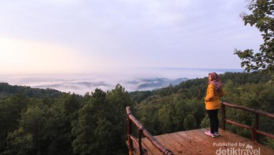 Sejuknya Pagi di Hutan Pinus Asri Bantul Saat Libur Waisak