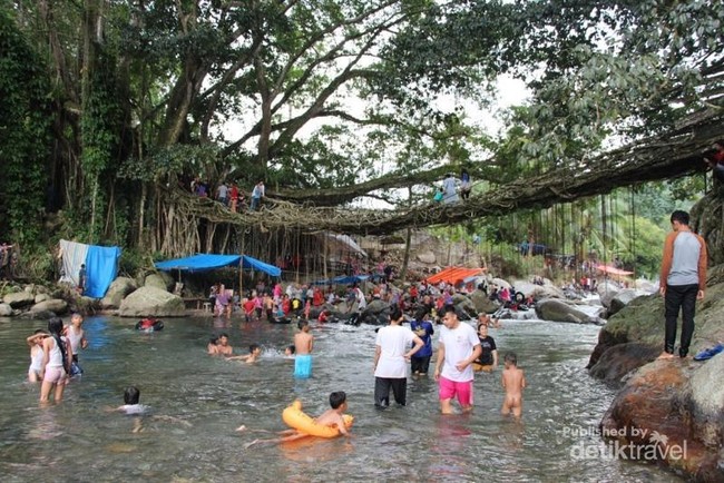 Selama Libur Lebaran, Jembatan Akar di Sumbar Penuh Wisatawan