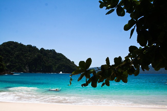 Selamat Datang di Teluk Hijau