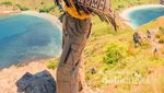 Selamat Pagi dari Puncak Pulau Padar yang Memesona