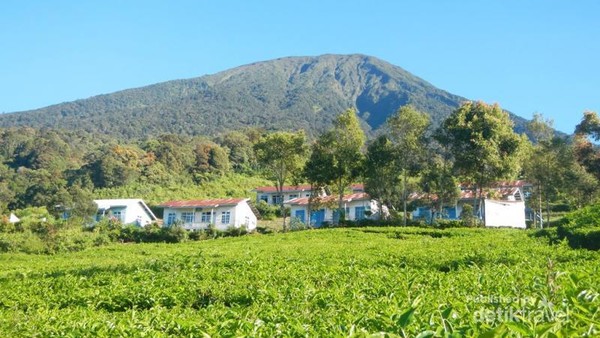 Selandia Baru? Bukan, Ini Desa Tertinggi di Sumatera Selatan