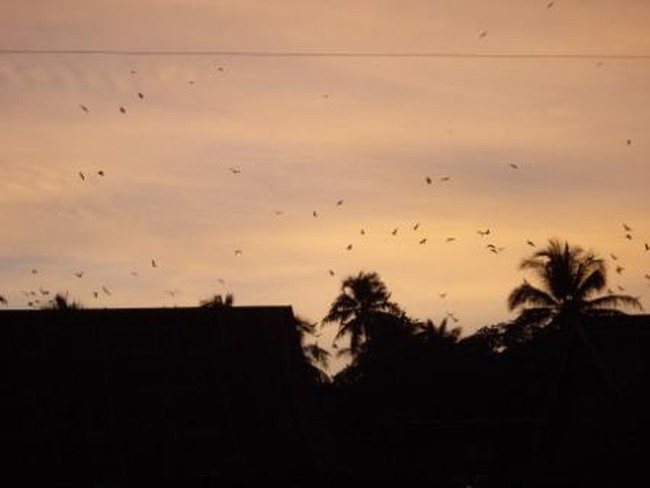 Senja di Kota Batas Negara