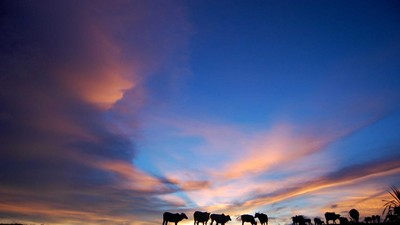 Senja Pulau Breueh