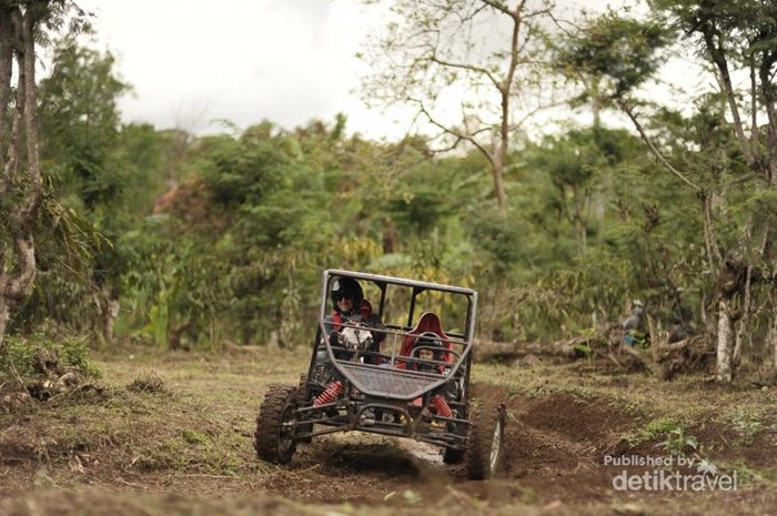Sensasi Seru Liburan di Bali