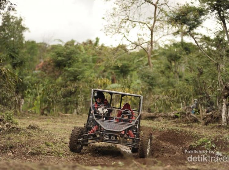Sensasi Seru Liburan di Bali