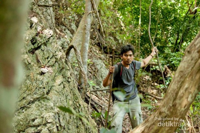 Seperti Padang Rumput Eropa, Padahal Ini di Aceh Besar