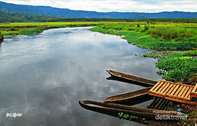 Sepetak Surga di Jambi Bernama Rawa Bento