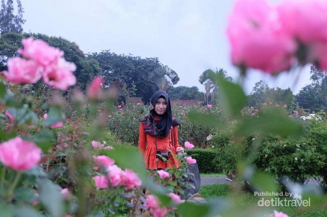 Serasa di Eropa, Padahal di Taman Bunga Nusantara