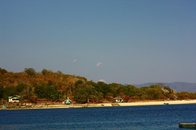 Serpihan Surga di Bawah Laut Pulau Alor