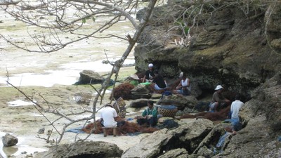 Seru! Berburu Rumput Laut di Nusa Lembongan