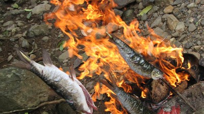 Serunya Bakar Ikan Kerling di Tepian Sungai Krueng Kaleung, Aceh