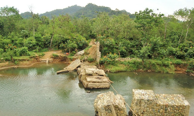Serunya Bertemu Penyu dan Melepas Tukik di Pantai Sukamade, Jatim