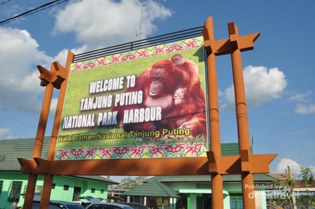 Serunya Menyusuri Sungai Kelay di TN Tanjung Puting