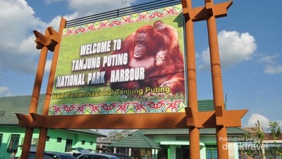 Serunya Menyusuri Sungai Kelay di TN Tanjung Puting