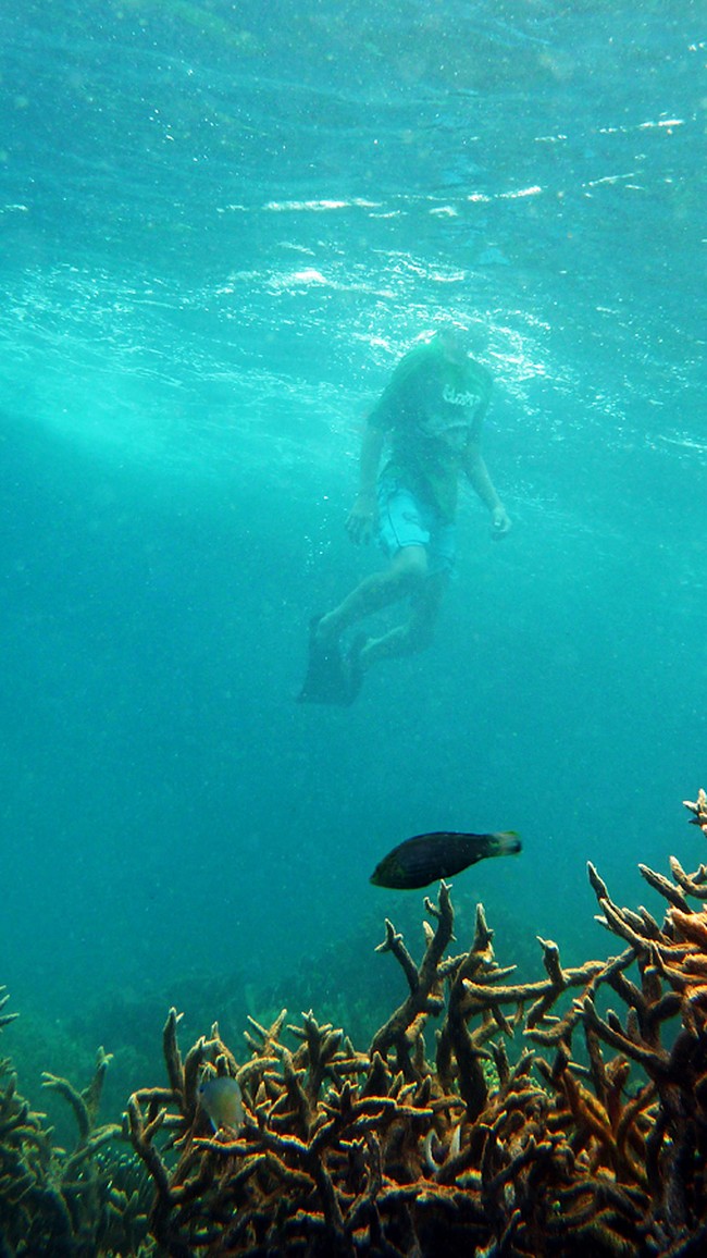 Serunya Snorkeling di Pulau Kelagian, Lampung