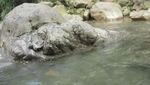 Serunya Trekking di Jembatan Kayu Curug Cibeureum