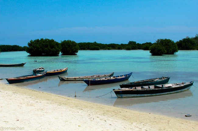 Snorkling Seru Sambil Budidaya Rumput Laut di Pulau Pari, Kep. Seribu