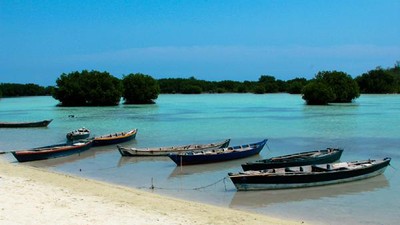 Snorkling Seru Sambil Budidaya Rumput Laut di Pulau Pari, Kep. Seribu