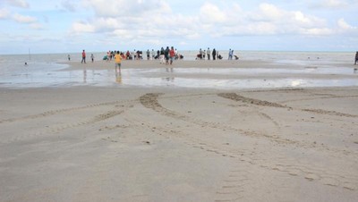Sore-sore Begini Enaknya ke Pantai Takari