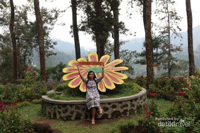 Spot Foto Kekinian di Dekat Solo