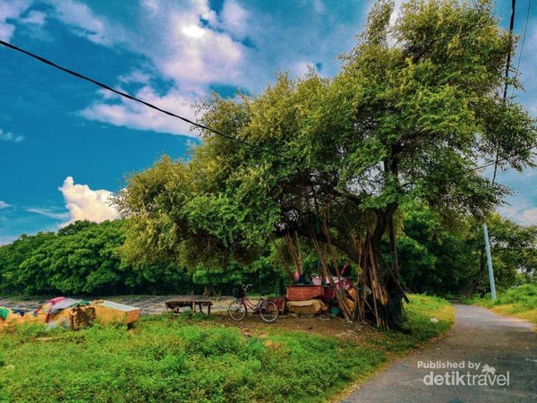 Pantai ini terletak disekitar Jembatan Suramadu , sisi surabaya. Pantai yang sebenarnya cukup bagus buat selfie atau prewedding sekalipun, karena background yg cukup indah. Pantai ini terletak disekitar Jembatan Suramadu , sisi surabaya. Pantai yang sebenarnya cukup bagus buat selfie atau prewedding sekalipun, karena background yg cukup indah.