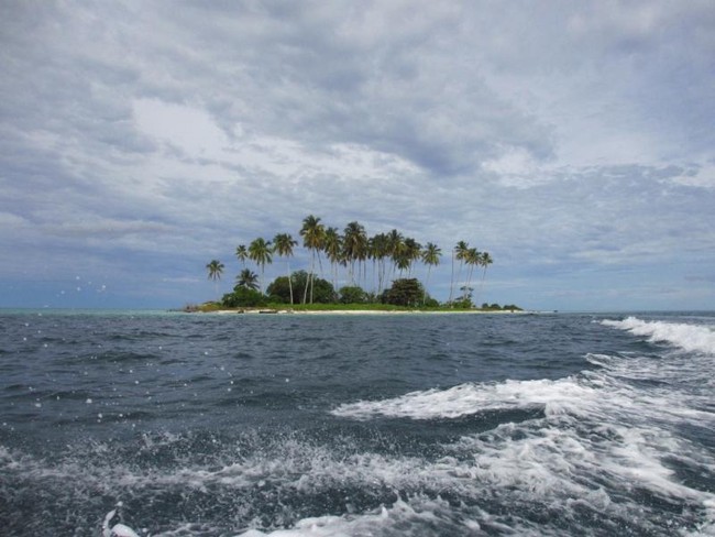 Sudah Tahu Pulau Spongebob di Indonesia?