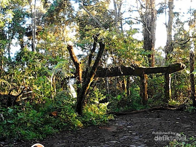 Sudut Cantik Alun-alun Surya Kencana di Gunung Gede