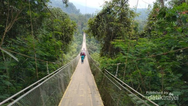 Sukabumi Punya Jembatan Gantung Terpanjang di Asia Tenggara