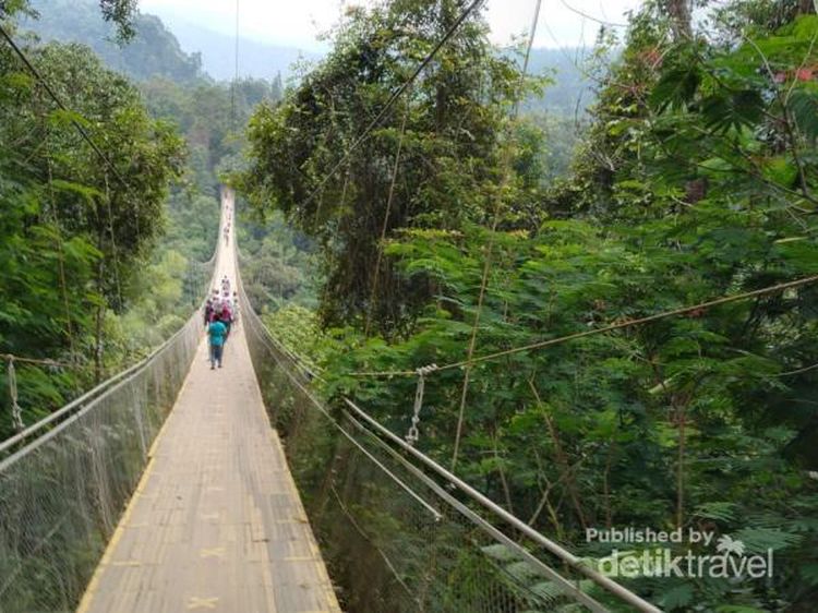 Sukabumi Punya Jembatan Gantung Terpanjang di Asia Tenggara