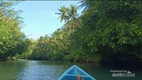 Rindang Pohon Sepanjang Pinggir Sungai