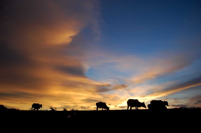 Sunset di Pulau Breueh