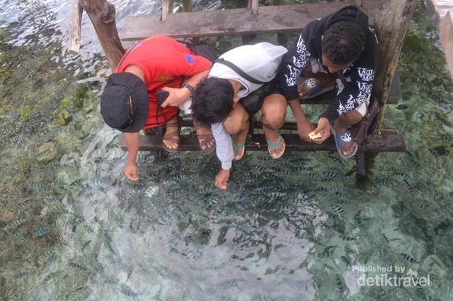 Surga Ikan Warna-warni di Sawinggrai, Raja Ampat