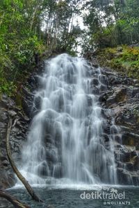 Surga Tersembunyi Di Tengah Belantara Hutan Banjar