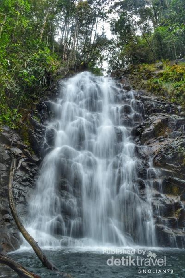Surga Tersembunyi di Tengah Belantara Hutan Banjar