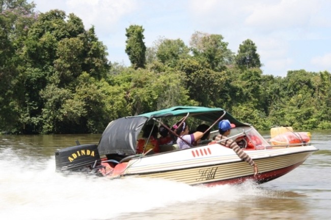 Susur Sungai Lamandau