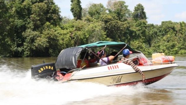 Susur Sungai Lamandau
