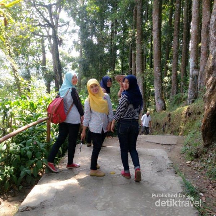 Tak Cuma Bogor, Baturraden Juga Punya Kebun Raya