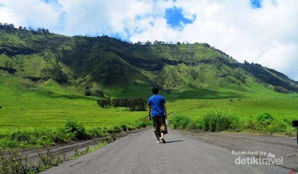 Saya pribadi memiliki hobi fotografi, jadi dahaga sebagai fotografer cukup terpuaskan. Pada dua musim yang berbeda di Indonesia, Bromo selalu memiliki objek foto yang tak pernah ada habisnya. Saya pribadi memiliki hobi fotografi, jadi dahaga sebagai fotografer cukup terpuaskan. Pada dua musim yang berbeda di Indonesia, Bromo selalu memiliki objek foto yang tak pernah ada habisnya.