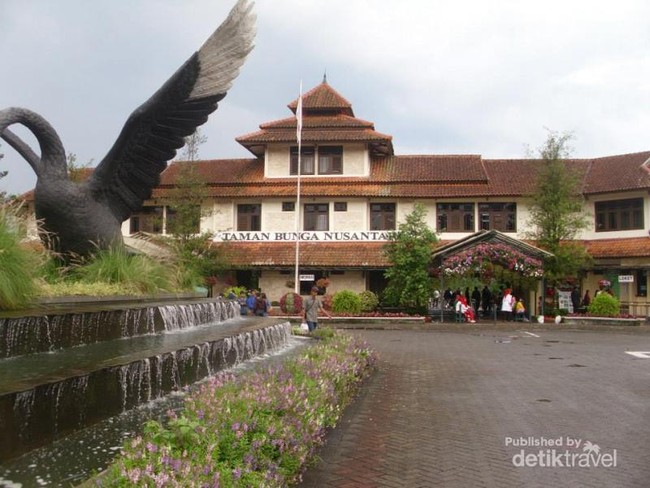 Tak Usah ke Belanda, Ada Taman Bunga Nusantara di Cipanas