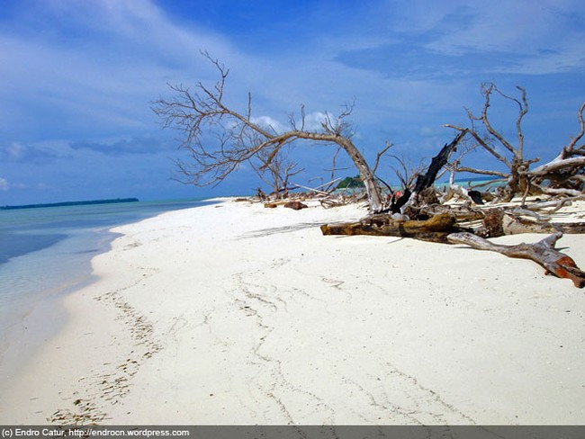 Taman Laut Teluk Cenderawasih, Papua