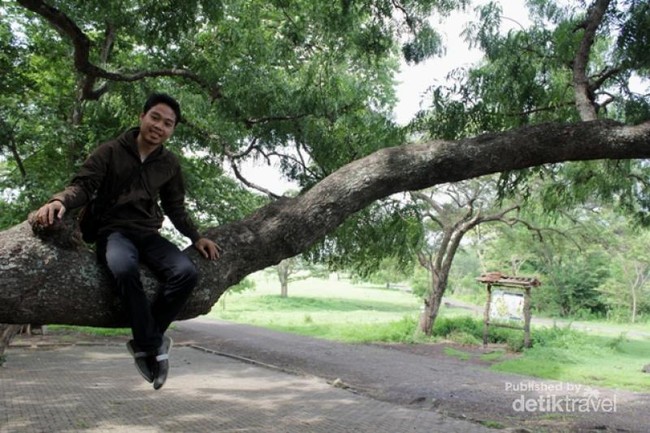 Taman Nasional Baluran, Hijau Banget!
