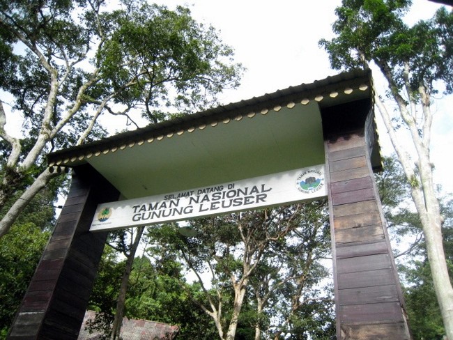 Taman Nasional Gunung Leuser
