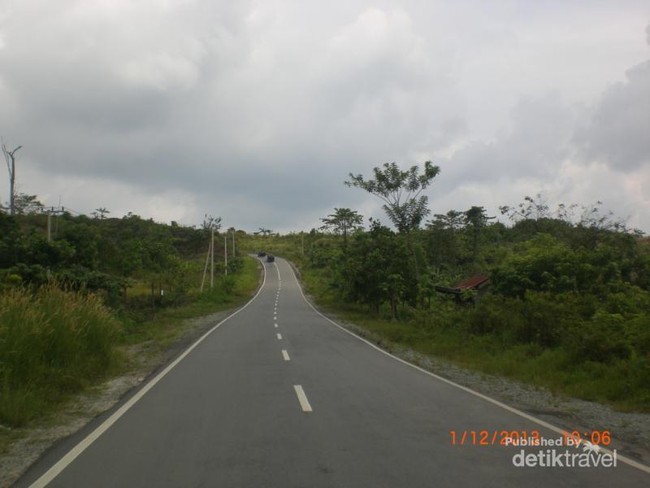 Taman Nasional Kutai Punya Pohon Usia 1.000 Tahun