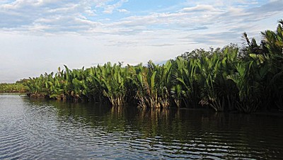Taman Nasional Tanjung Puting, Kalimantan Tengah