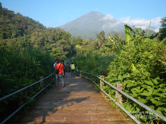 Tanjakan Setan yang Menantang di Gunung Gede